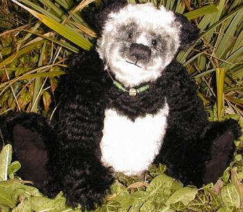 Photo of Bamboo