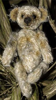 Photo of Basil