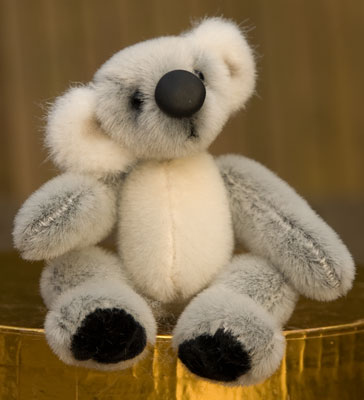 Photo of Bruce Koala