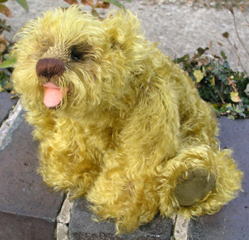 Photo of Chutney
