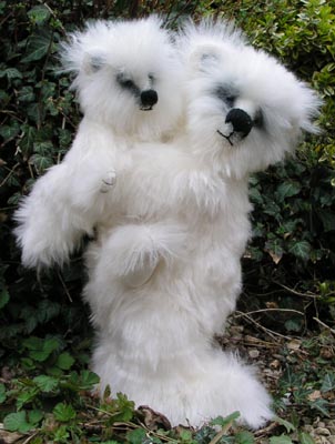 Photo of Snow and Flake