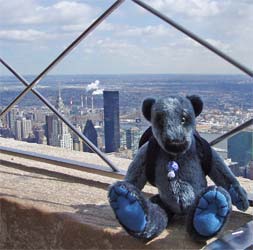 Wilbeary on the Empire State