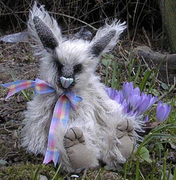 Photo of Crocus