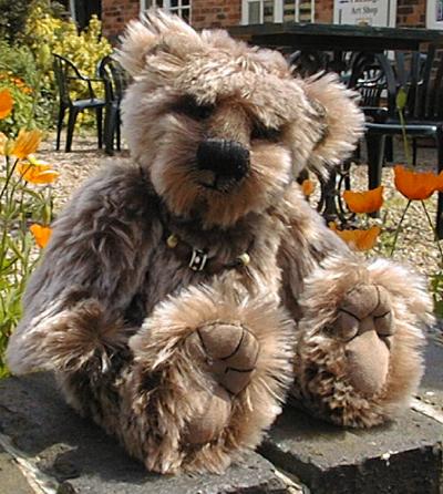 Photo of Cub