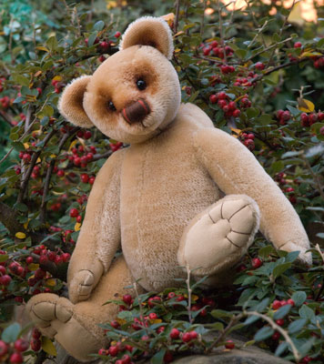 Photo of Freddy